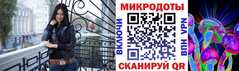 где найти Вязьма Галлюциногенные грибы ЛСД